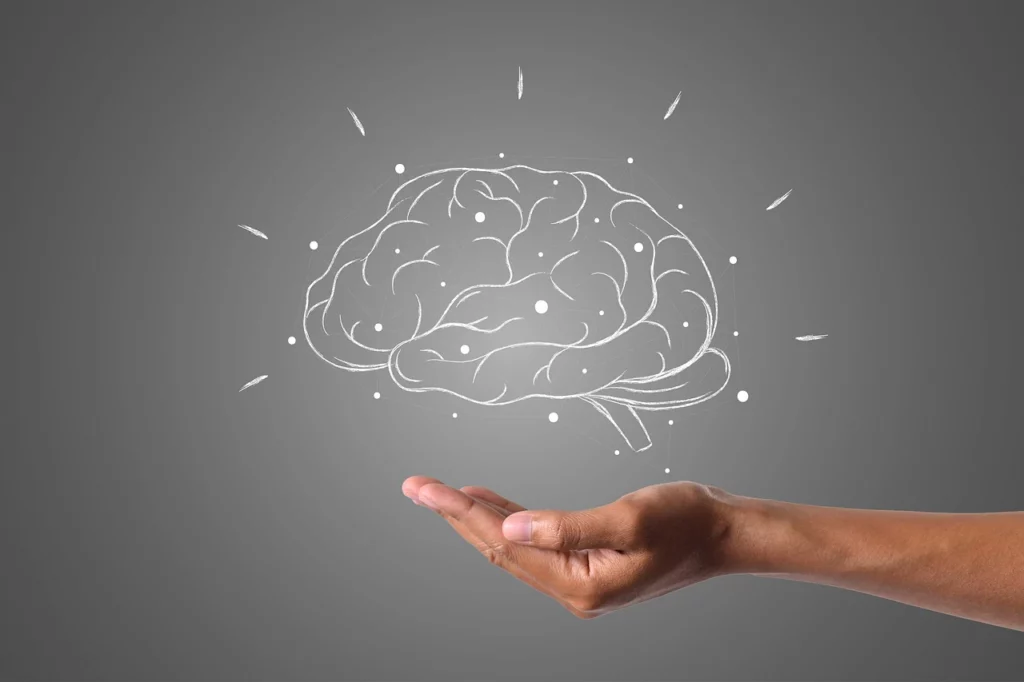 La démarche scientifique de l'Approche Neurocognitive et Comportementale - Lucie Pireau