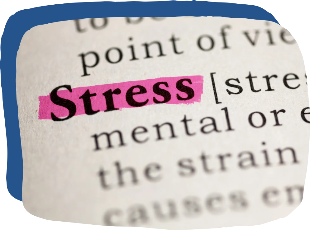 Les 3 états de stress